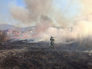 На Закарпатті два десятки пожеж за добу